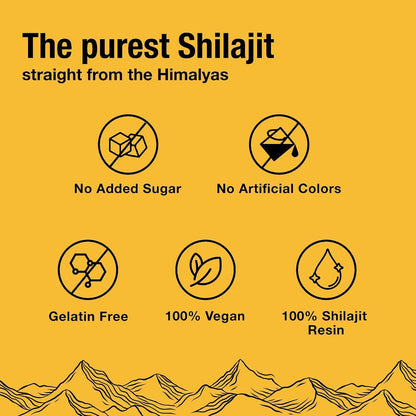 Blueberry Shilajit - 60 Vegan Gummies